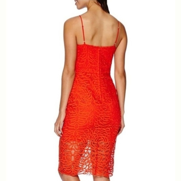 {Bisou Bisou} Lace Dress - Picture 3 of 7